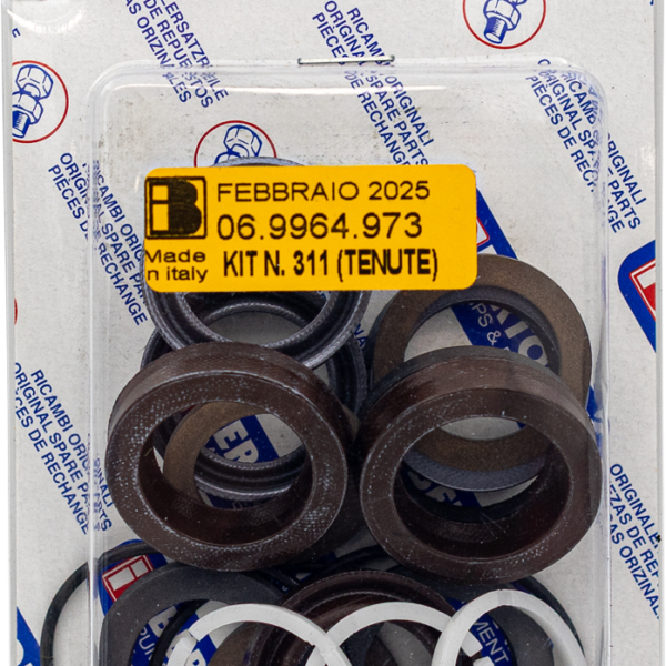Bertolini Seal Kit [228 KIT311 (069964973)]