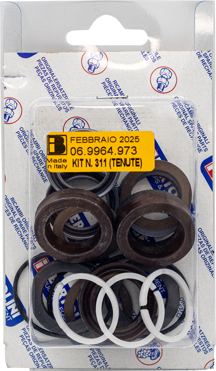 Bertolini Seal Kit [228 KIT311 (069964973)]