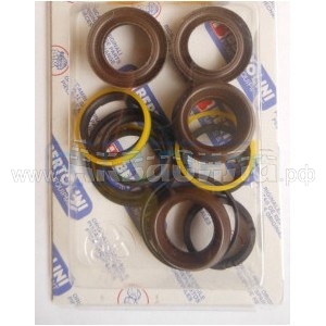 Bertolini Minor Seal Kit [228 KIT51 (739839973)]