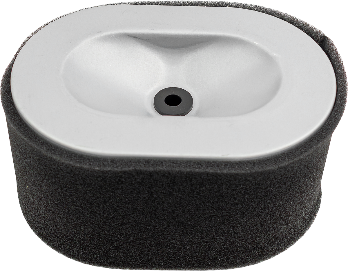 Air Cleaner with Pre Filter [HAI 186FV-07100]