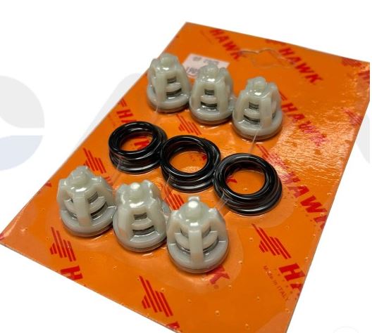 Hawk Valve Kit Complete [224 1.099-804.0]