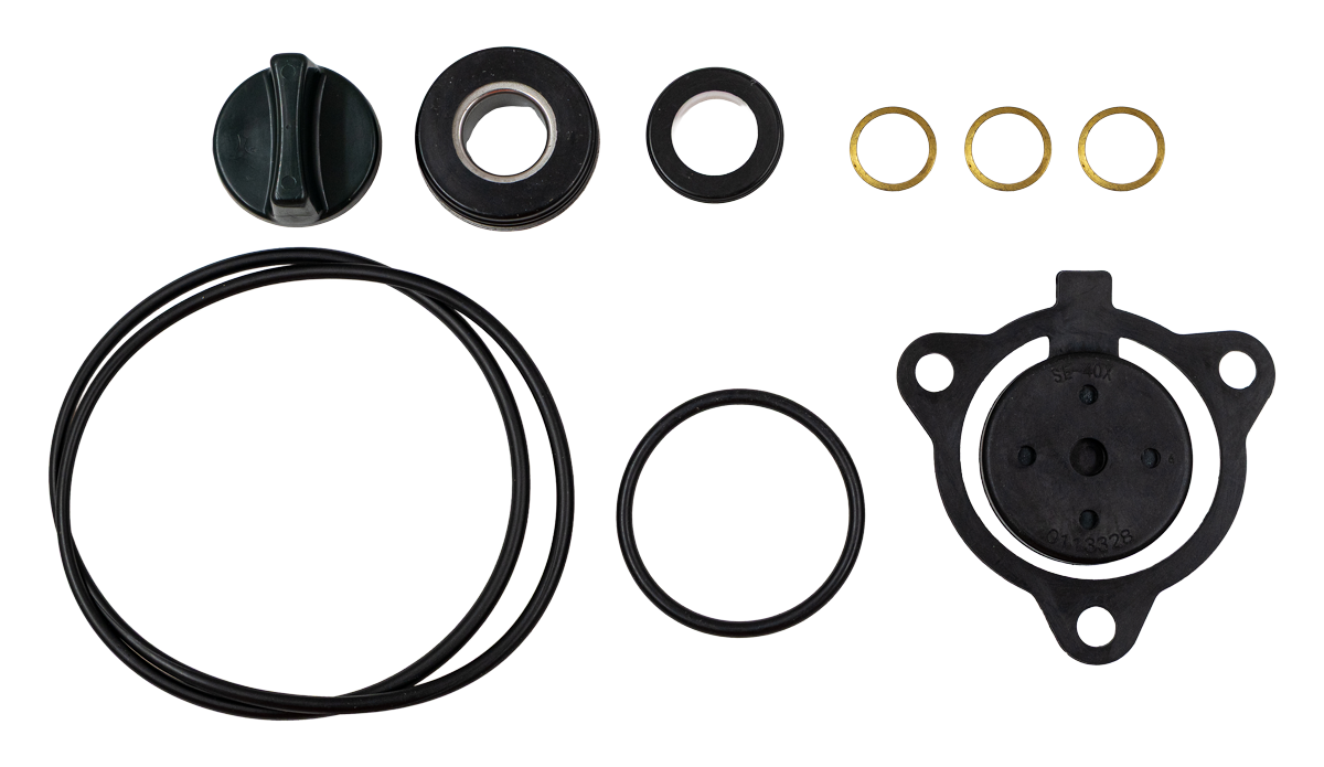 Pump Rejuvenation Kit [124 SEH-40H-RK]
