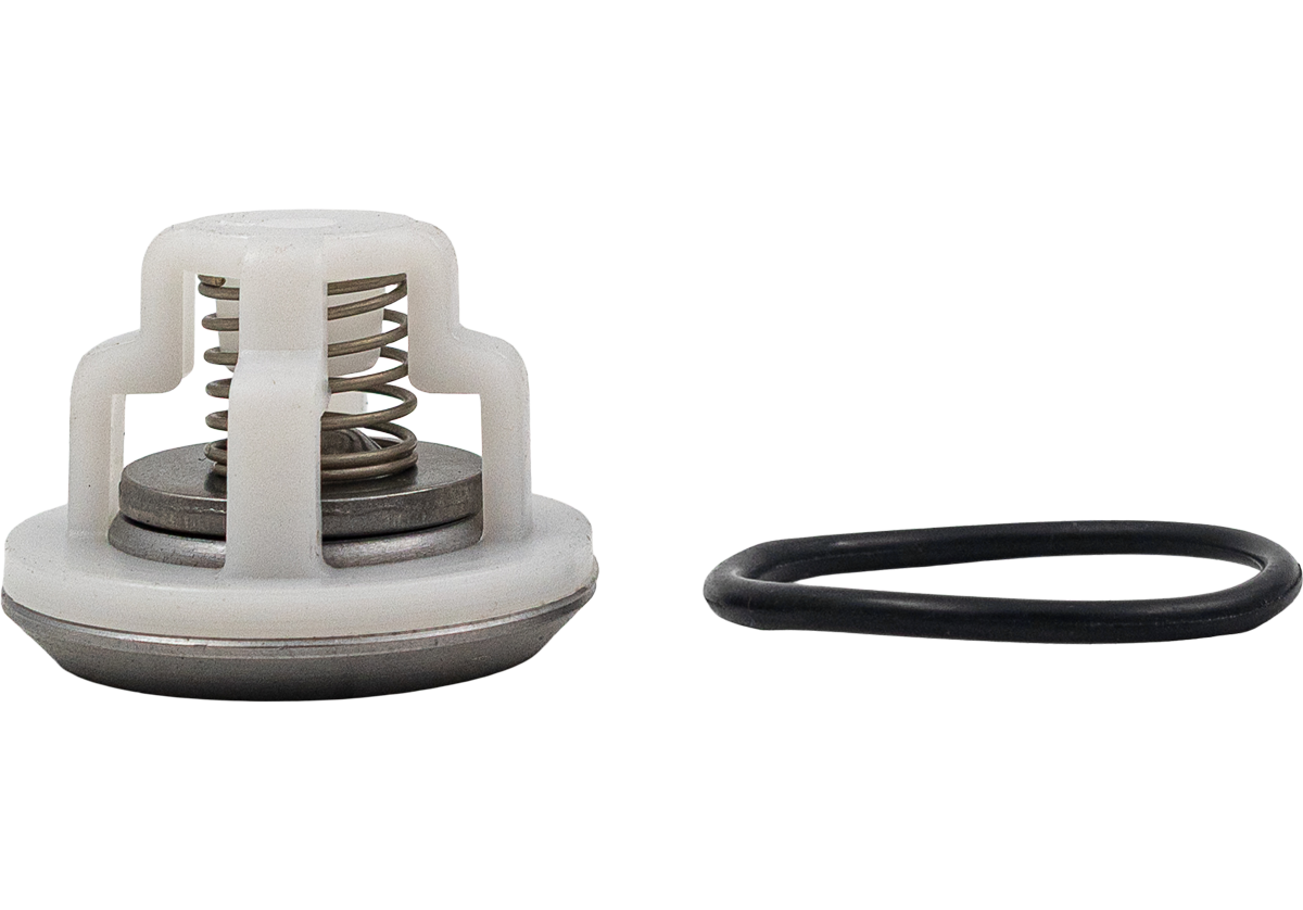 Suction/Delivery valve kit [115 12200052]
