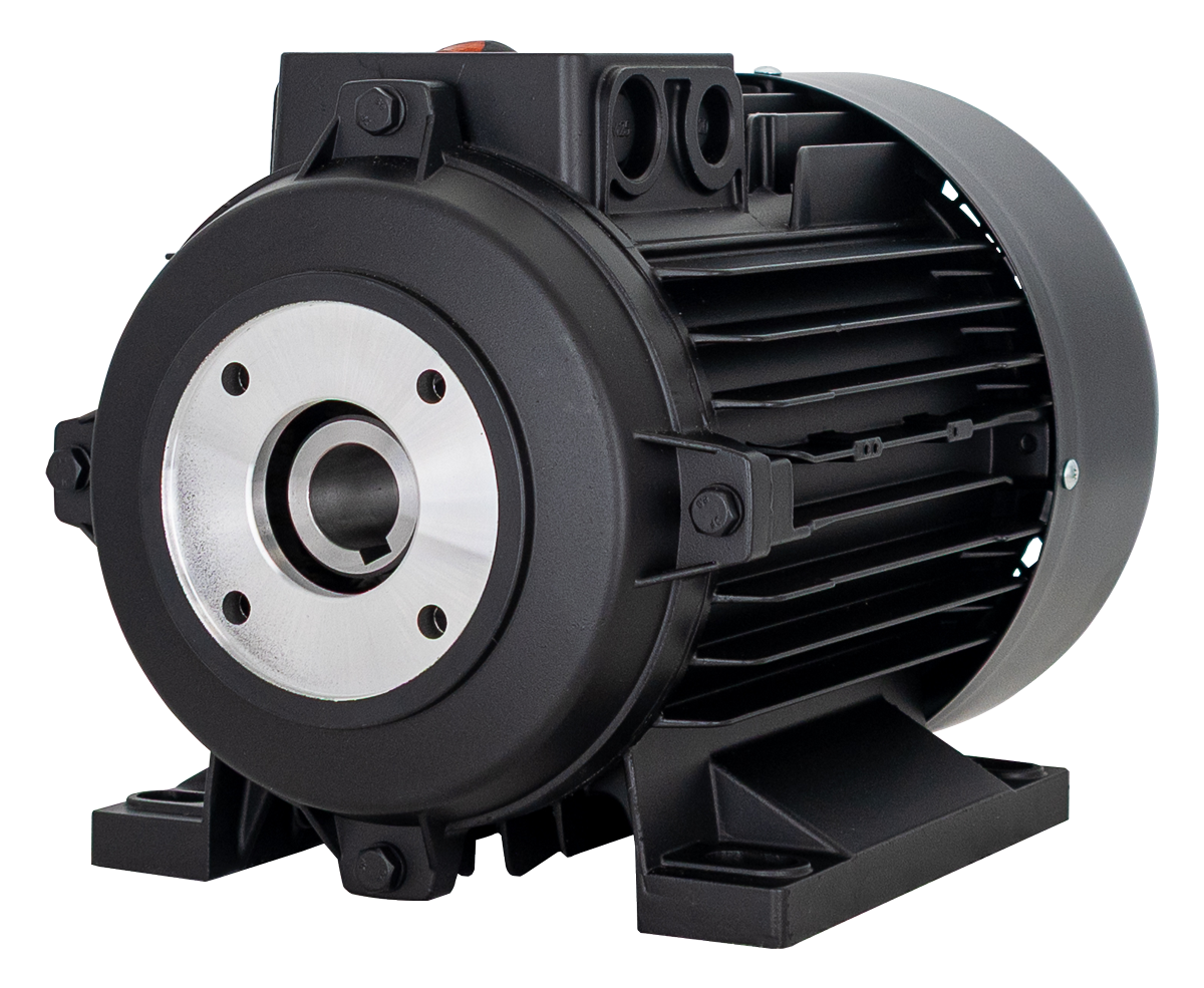 Electric Motor K250 10 150[115 18310624]