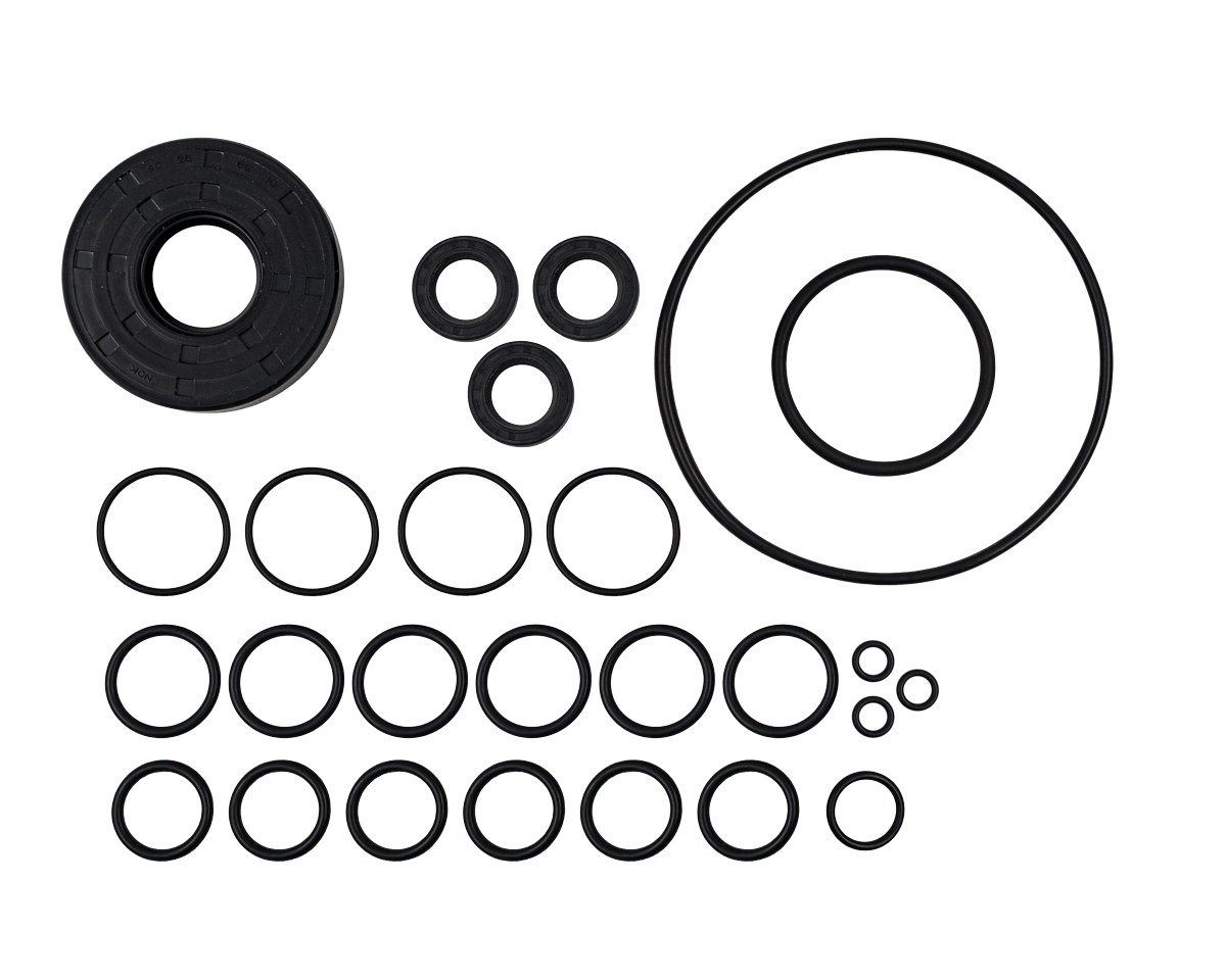 Oil Seal Kit [115 50190040]