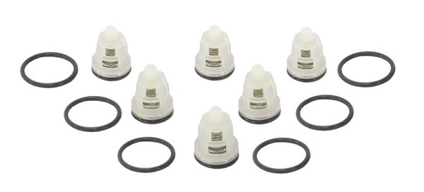 Valve Kit (suct/del Kit) [115 50250014]