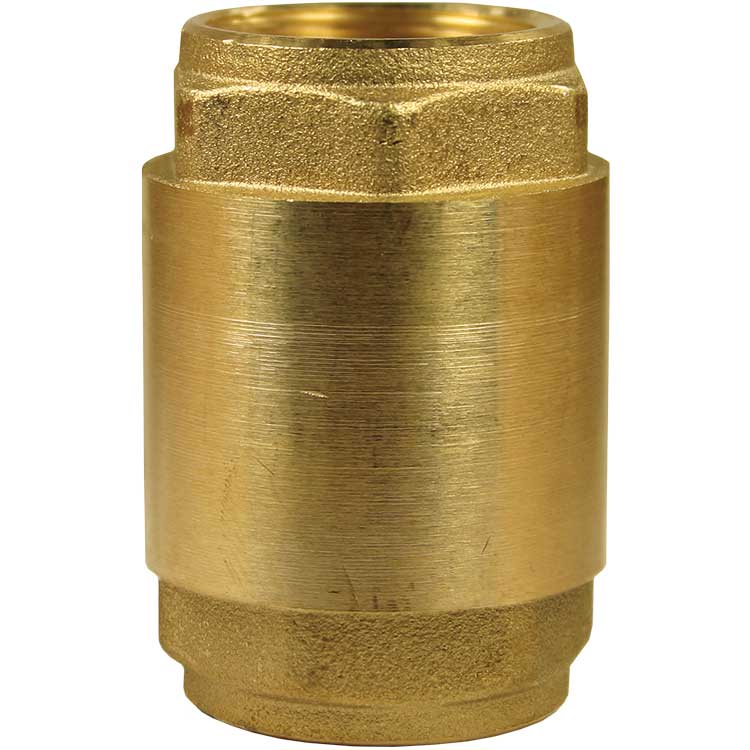 Non Return valve 1 inch [148 733 20]