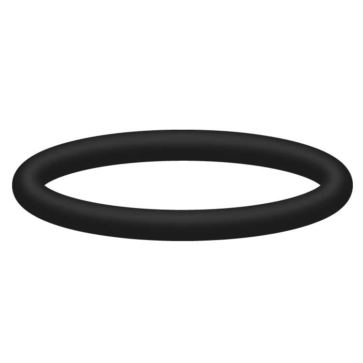 O-RING 19,3X2,4 [148 791932401]