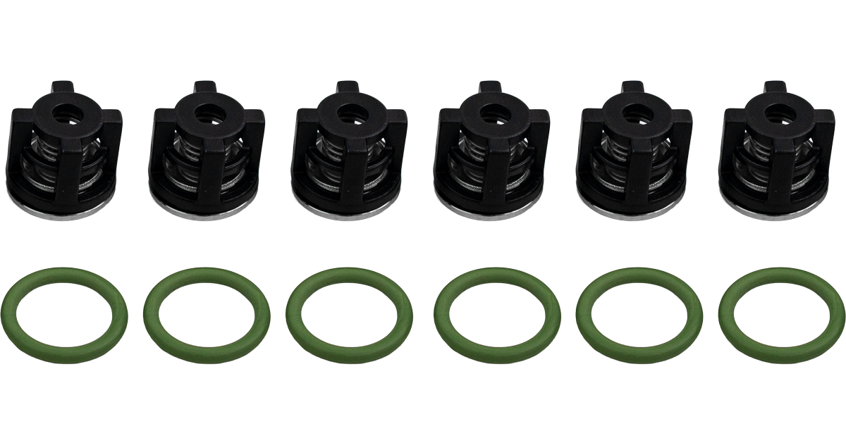 Valve Kit suit AR RKSS13-17 [223 2514]
