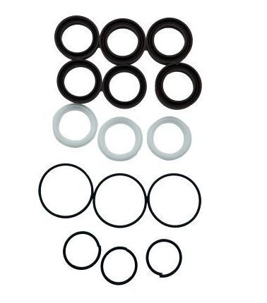 AR Gasket Kit D22 S194 [223 2783]