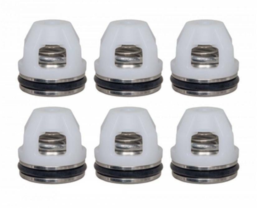 AR Valve Kit RSV4G40  [223 42666]