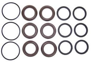 Hawk Plunger Kit [224 2629.01]