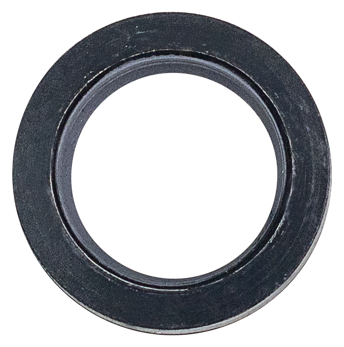 Seal? LPS CAT pump[225 43305]