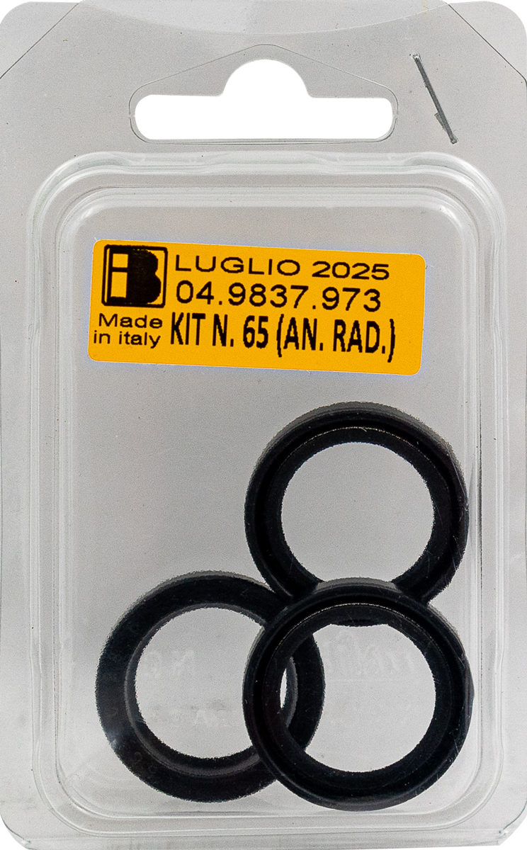 Oil Seal Kit TMG [228 KIT65 (049837973)]