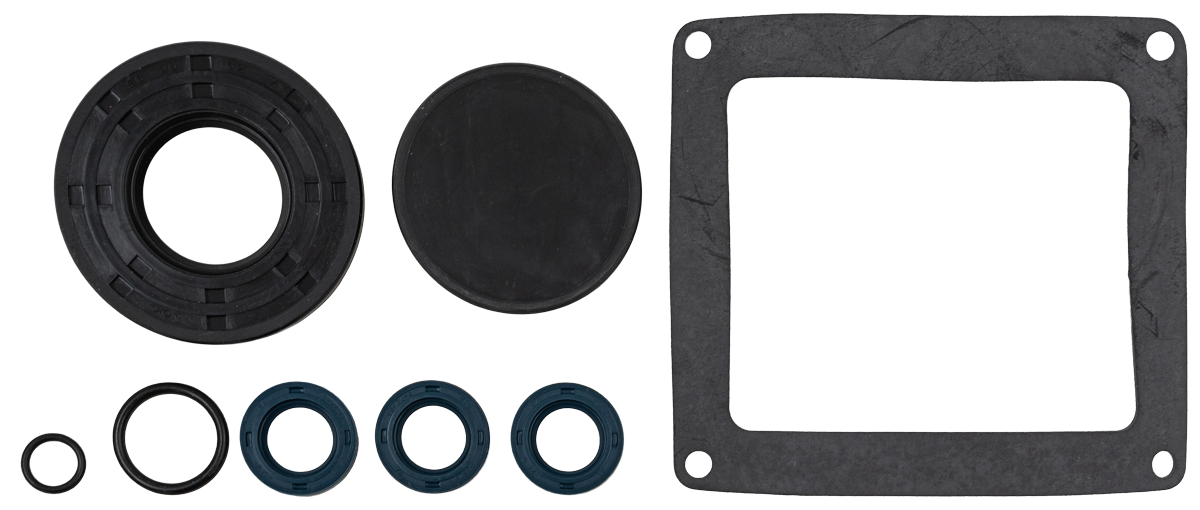 Bertolini Oil Seal Kit [228 KIT82 (049846973)]
