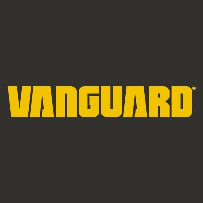 Logo for Briggs & Stratton - Vanguard