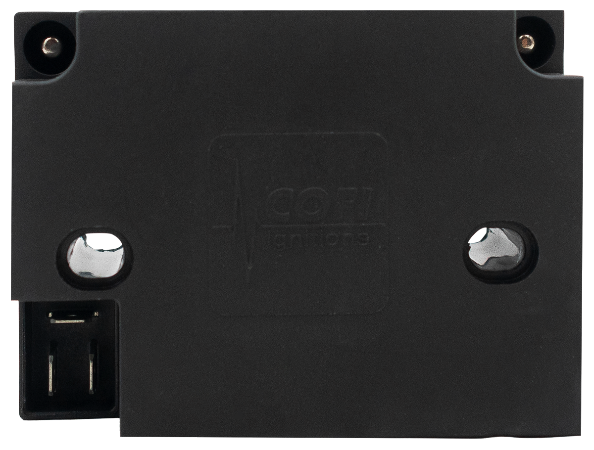 Electronic Ignitor B70 100 150 [PIS 4111.833]